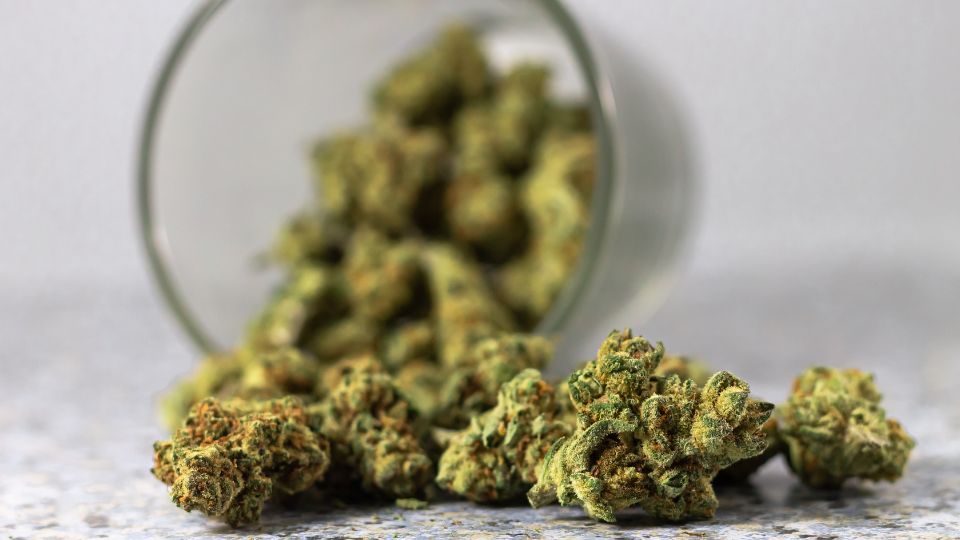 How Changing Marijuana Legislation Affects Drug Screening?